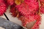 Fresh Rambutan Fruits Stock Photo