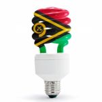 Flag Of  Palestine On Bulb Stock Photo