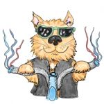 Cool Cat Stock Photo