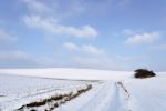 Winter Landscape Stock Photo