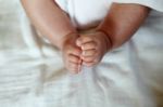 New Born Baby Feet Stock Photo