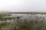 Vast Land With Rain Ponds Stock Photo