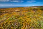 Colorful Meadow And Blue Sky Stock Photo