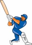 India Cricket Player Batsman Batting Cartoon Stock Photo