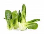 Organic Bok Choy Isolated On White Background Stock Photo