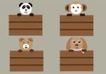 Mix Animals Standing On Wood Box Stock Photo