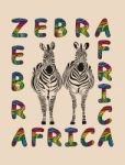 Africa - Zebras Background Stock Photo