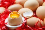 Egg Stock Photo