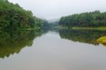 Nature Landscape At Dawn Of Lakes And Pine Forests Stock Photo