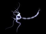 3d Neuron Cell Stock Photo