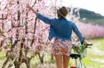 Beautiful Young Woman With A Vintage Bike In The Field Stock Photo