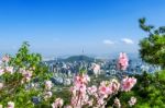 View Of Cityscape And Seoul Tower In Seoul, South Korea. Autumn Stock Photo