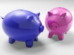 Two Pigs Shows Financial Investment And Security Stock Photo