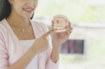 Asian Woman Showing Tooth Model Stock Photo