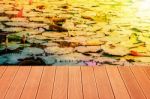 Wood On A Lotus Pond Stock Photo