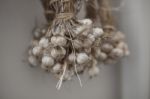 Garlic For Cooking Stock Photo