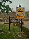 Historical Attractions In Thailand Bloody Train Line Stock Photo