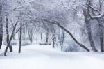 Winter Day In A Park Stock Photo