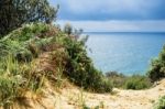 Tangalooma Island Beach In Moreton Bay.  Stock Photo