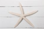 White Starfish Stock Photo