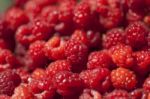 Red Raspberry Fruit Stock Photo