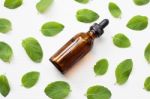 Mint Essential Oil In A Glass Bottle With Leaves On White Backgr Stock Photo