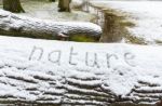 Word Nature In Snow On Tree Trunks Stock Photo