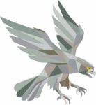 Peregrine Falcon Swooping Grey Low Polygon Stock Photo