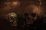 Skulls On The Wooden Floor Stock Photo