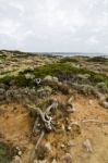 Beautiful Coastline Of Sagres Stock Photo