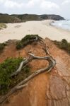 Beautiful Coastline Of Sagres Stock Photo