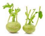 Kale Ball Vegetables Stock Photo