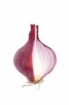 Shallots Still Life White Background Stock Photo