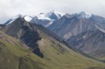 Denali National Park Stock Photo