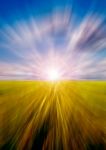 Abstract Motion Blurred Meadow Stock Photo