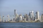 Birds In Flight With The Background The City Of Panama Stock Photo