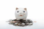 Piggy Bank Stock Photo