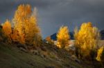 Autumn Colours In Wyoming Stock Photo