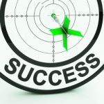 Success Target Shows Achievement Strategy And Winning Stock Photo