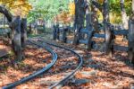 Railway In Nami Island,korea Stock Photo