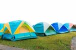 Group Of Tourist Tent Isolated On White Stock Photo