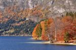 Colorful Autumn Lake Behind Forest And Mountains Stock Photo