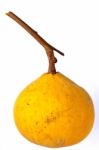 Santol, Tropical Fruit Stock Photo