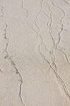 Sand Veins Stock Photo