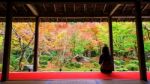 Woman In Enkoji Temple Enjoys Autumn Garden Stock Photo