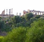 Volubilis In Morocco Africa The Old Roman Deteriorated Monument Stock Photo