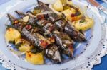 Cooked Mackerel Fish With Potato Stock Photo