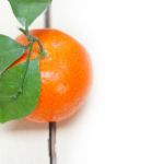 Tangerine Mandarin Orange On White Table Stock Photo