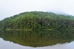 Nature Landscape At Dawn Of Lakes And Pine Forests Stock Photo