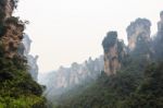 Zhangjiajie National Park ( Tian Zhi Shan ) ( Tianzi Mountain Nature Reserve ) And Fog , China Stock Photo